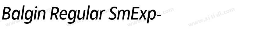 Balgin Regular SmExp字体转换